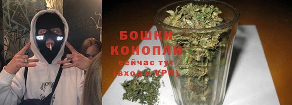 гидропоника Карпинск