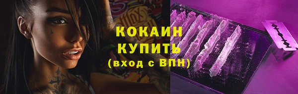 гидропоника Карпинск