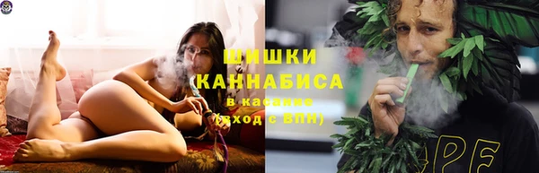 гидропоника Карпинск
