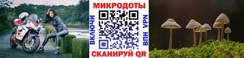 Купить где  Палласовка  Псилоцибиновые грибы Magic Shrooms 